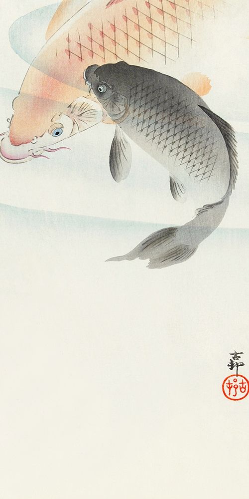 Two carp