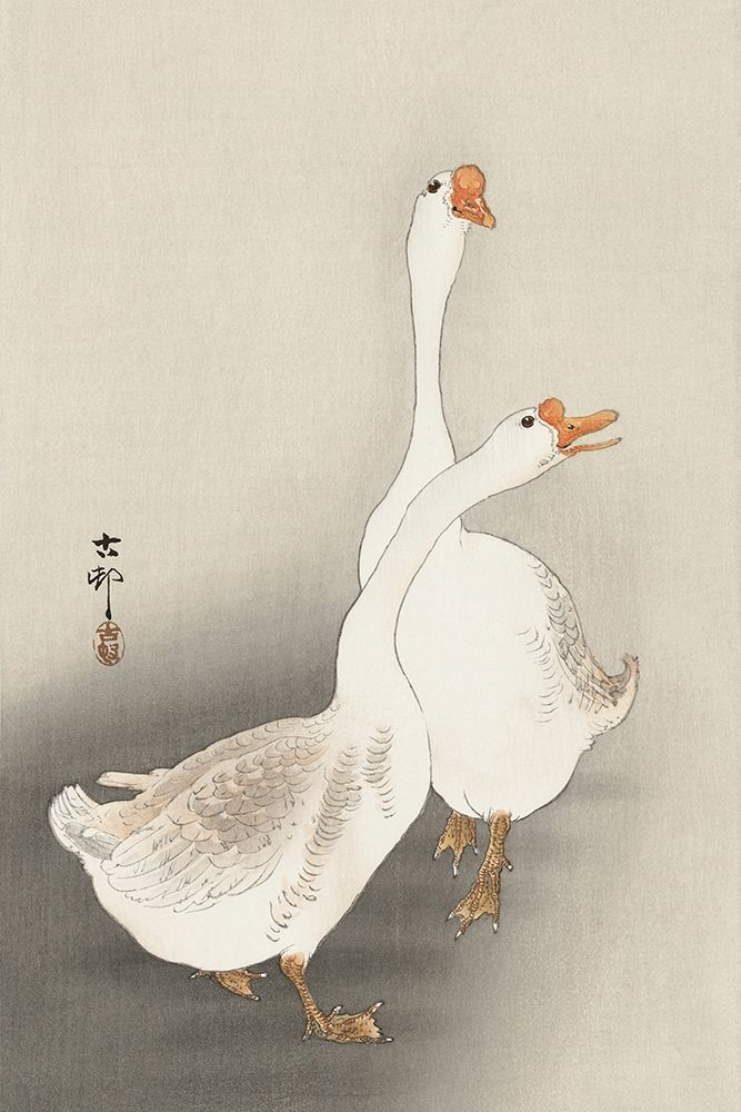 Two geese