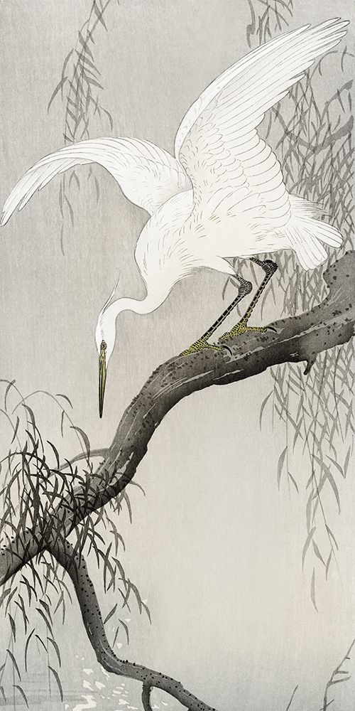 White heron on tree branch