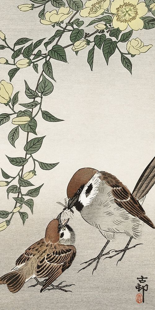 Birds and plants