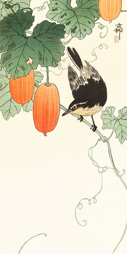 Bird and khaki