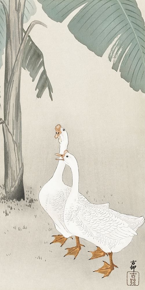 Two geese at banana tree