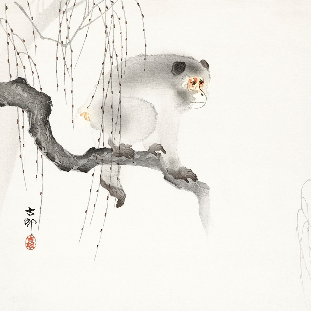Monkey on a tree branch