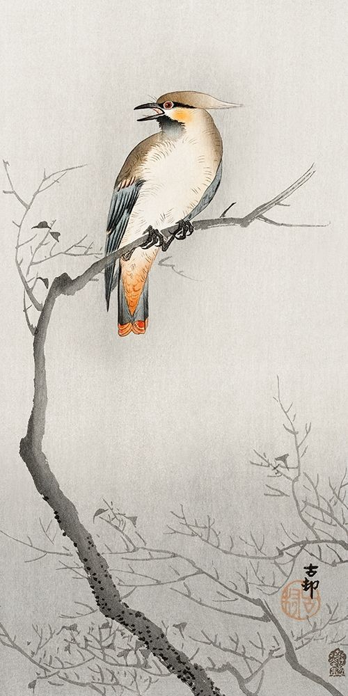 Japanese plague bird on branch