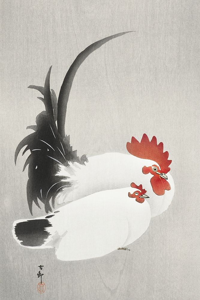 Rooster and hen