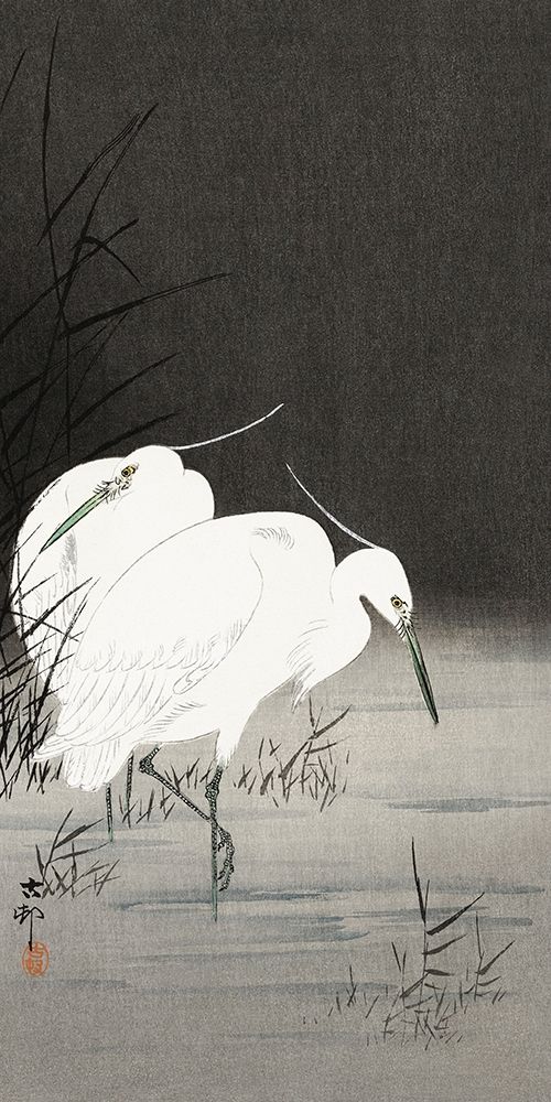 Two egrets in the reeds