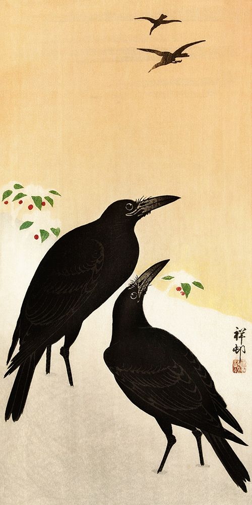 Crows in snow