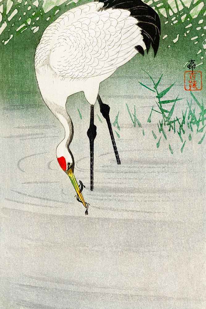 Fishing crane in shallow water