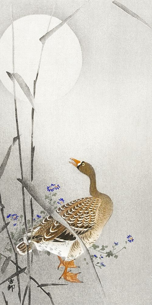 Goose at full moon