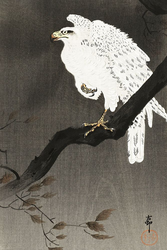 Snowy eagle on a tree branch
