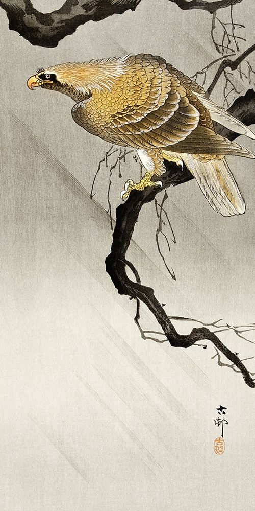 Eagle on branch