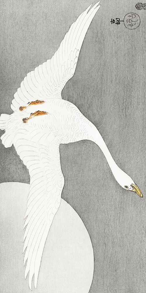 Goose at full moon