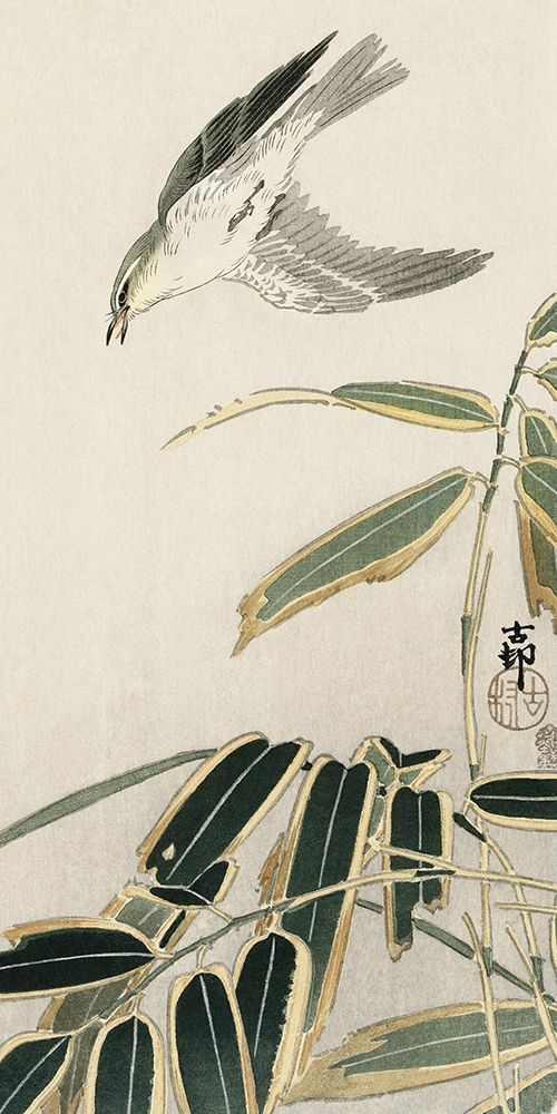 Wheatear in bambooÂ