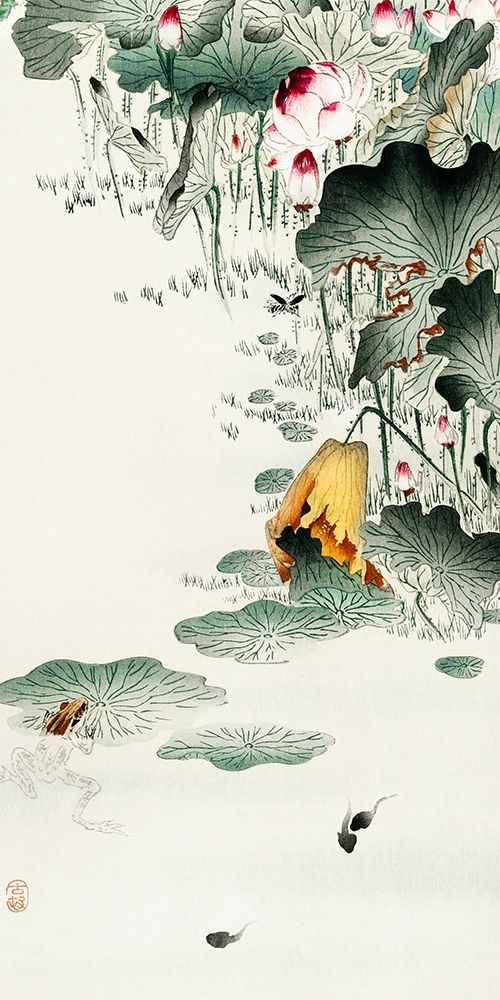 Frog and tadpoles