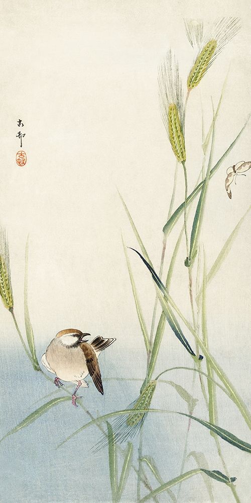 Bird and butterfly