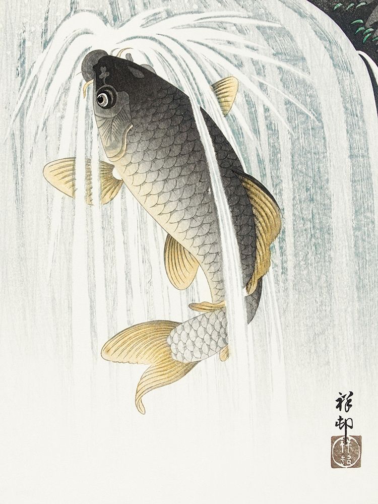 Carp