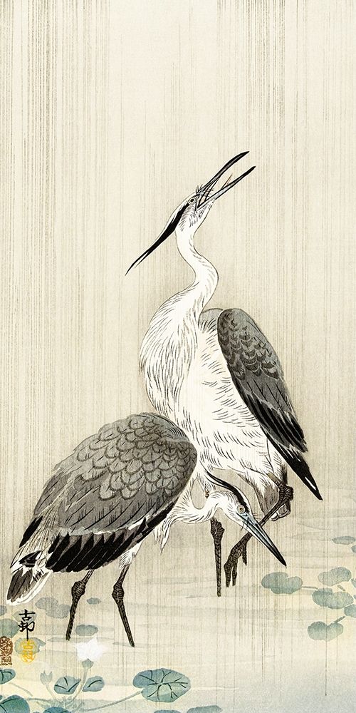 Two herons in the rain