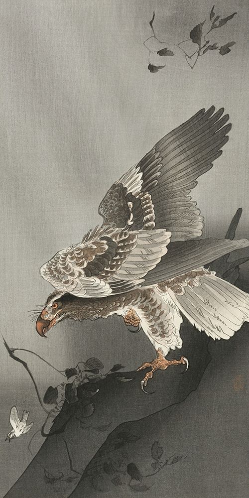 Eagle lurking at a prey