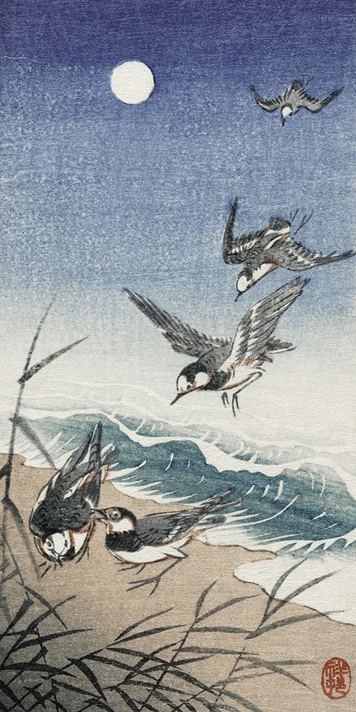 Birds at full moon