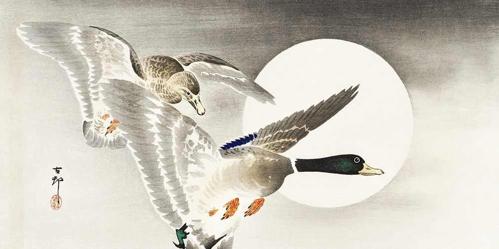 Two ducks at full moon