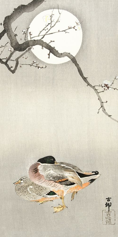 Ducks at full moon
