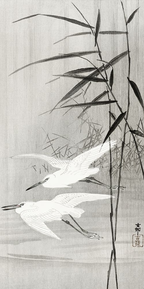 Two egrets in flight