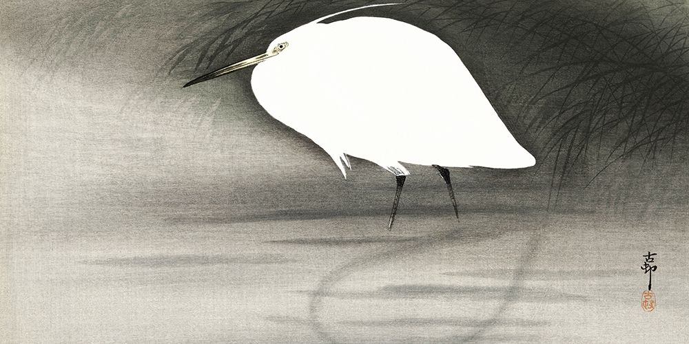 Egret