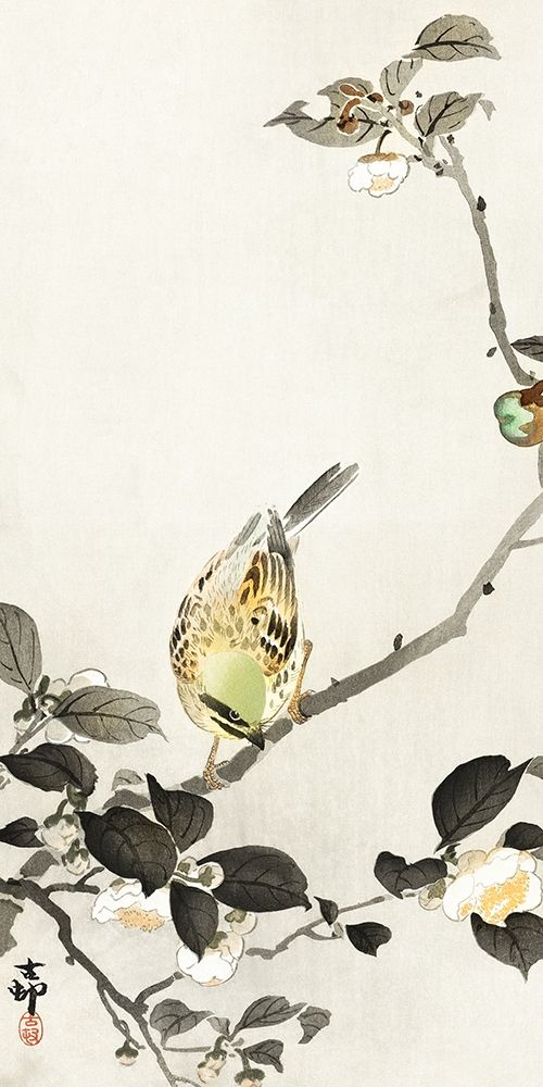 Bunting on blossom branch