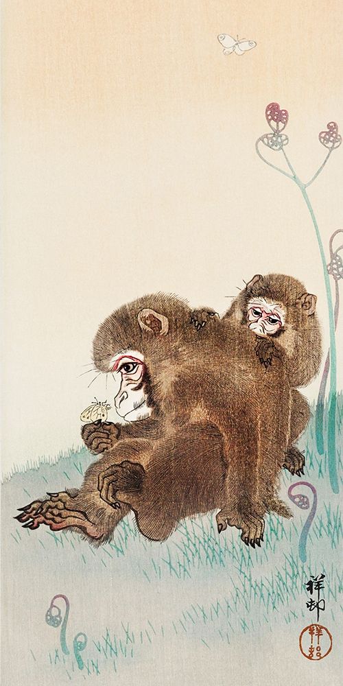 Two monkeys