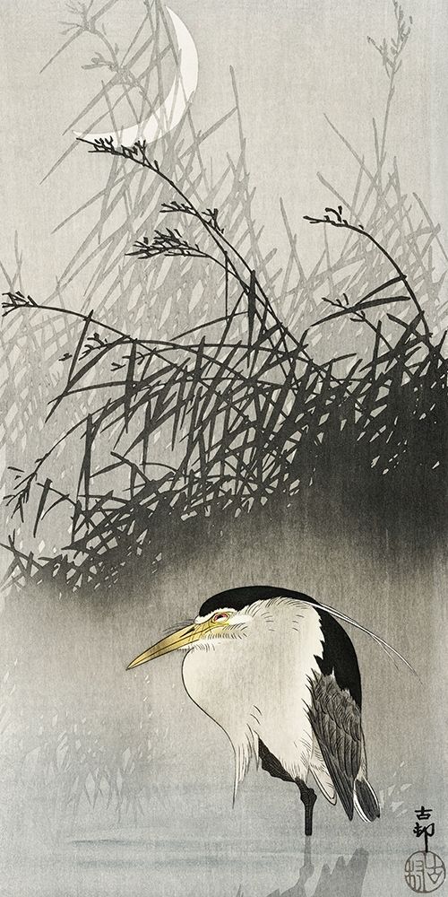 Heron at new moon