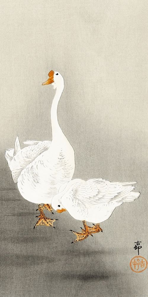Two geese