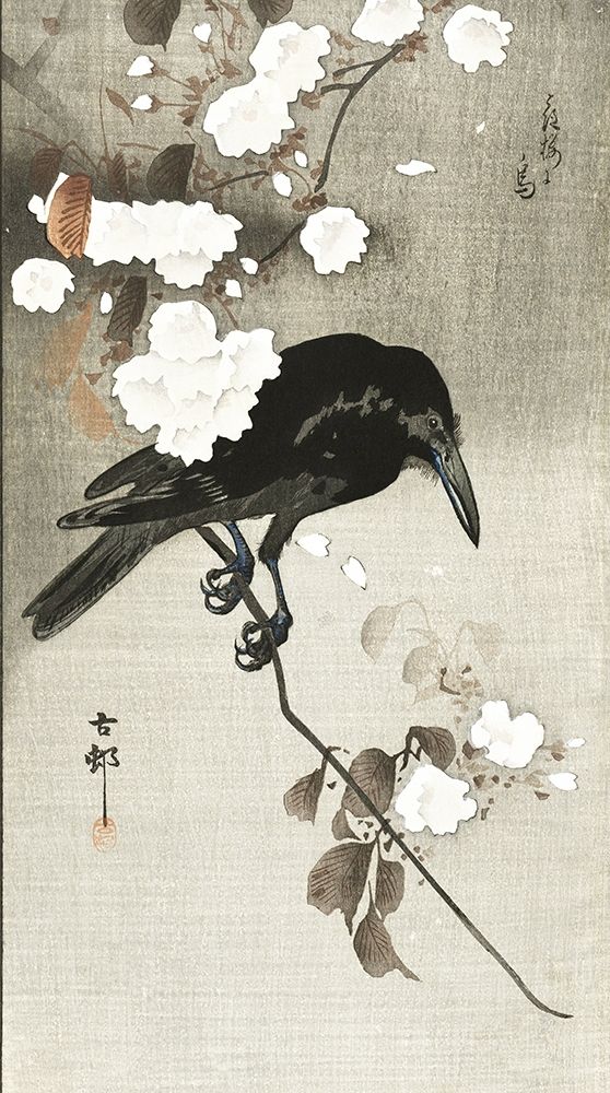 Crow with cherry blossom