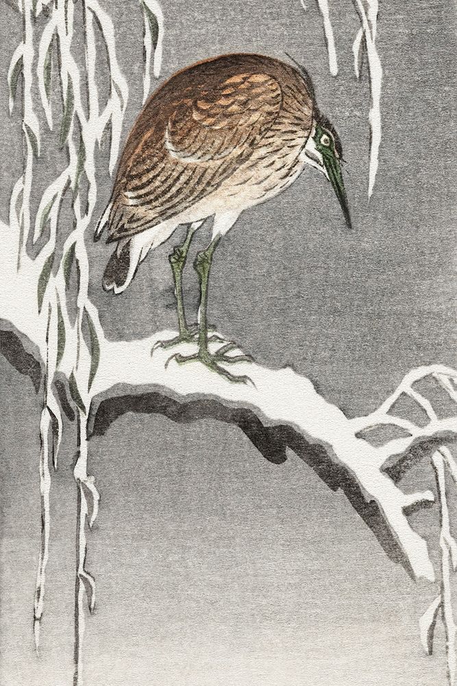 Heron on snowy tree branch