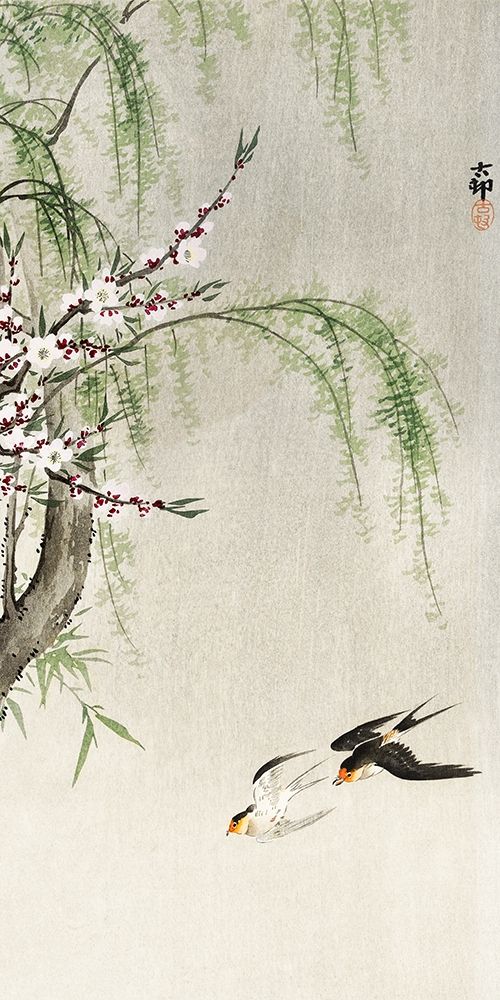 Swallows in flight