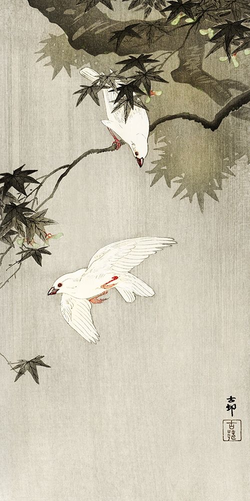 Birds in rain