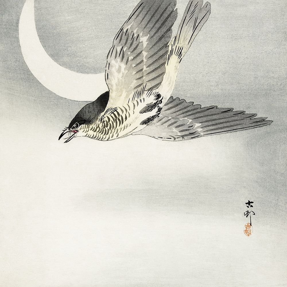 Cuckoo at crescent moon