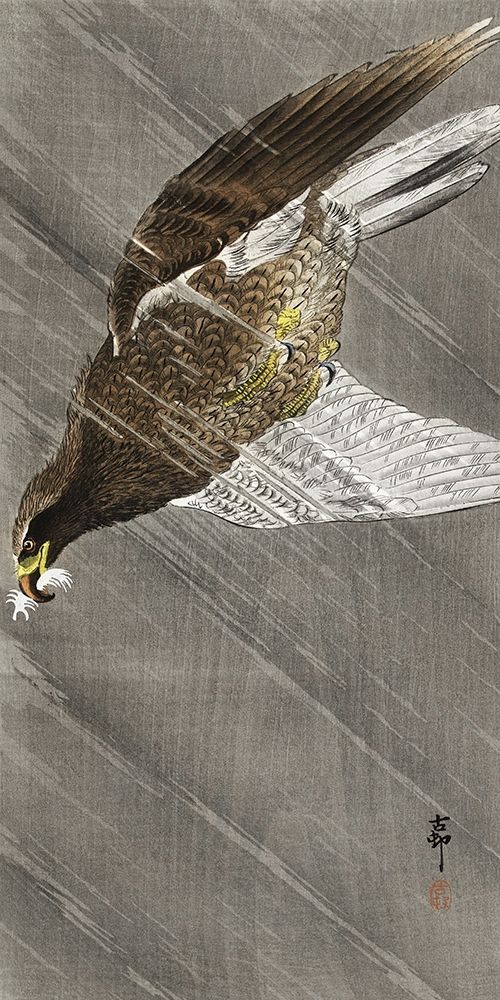 Downward flying eagle
