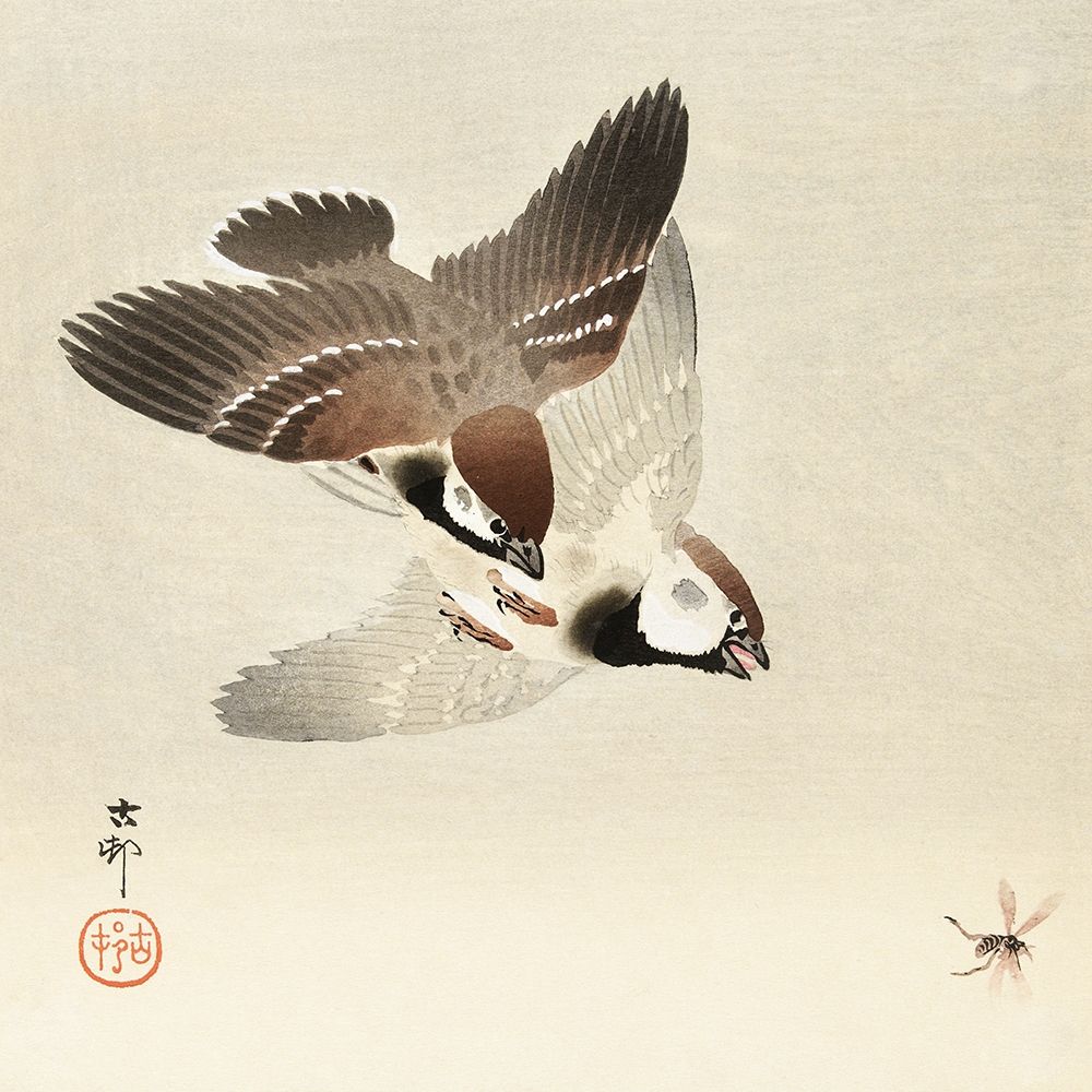 Ring sparrows and insectÂ