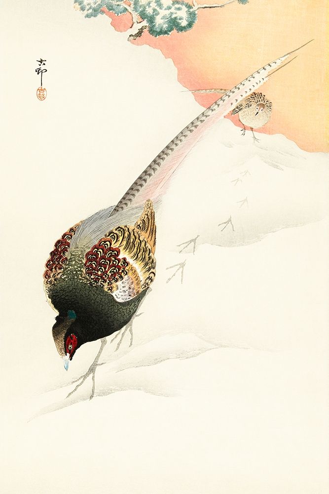Pheasant couple in the snow