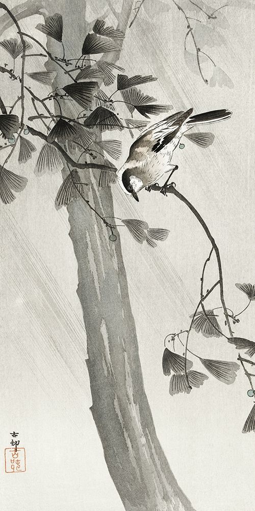 Long-tailed tit in storm