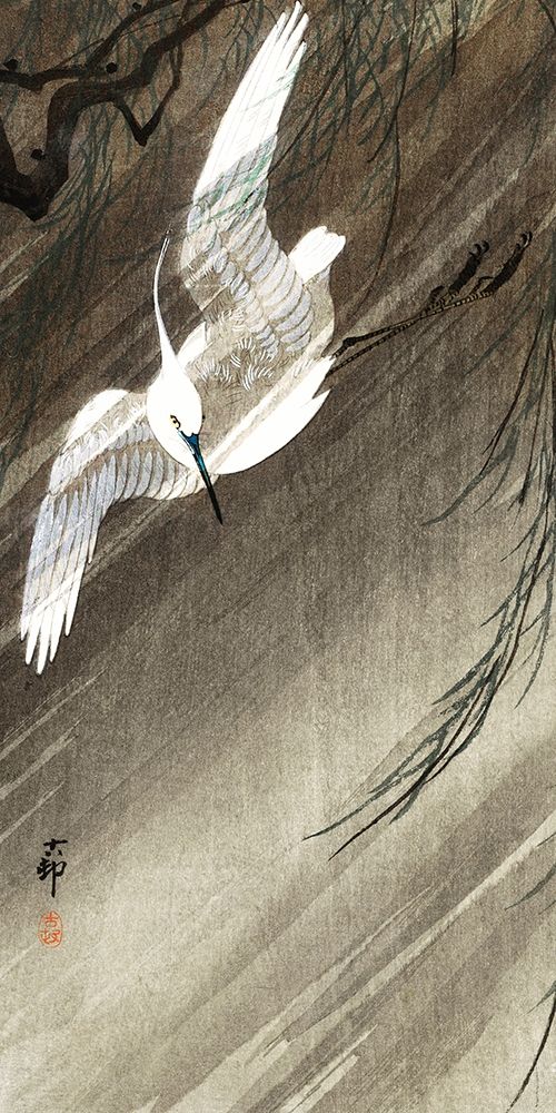 Egret in storm
