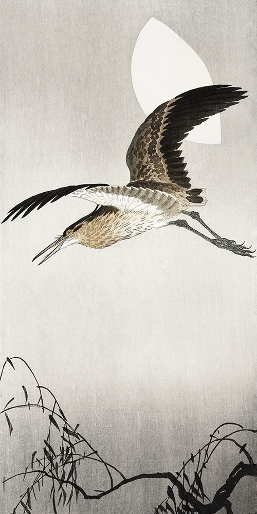 Heron and moon