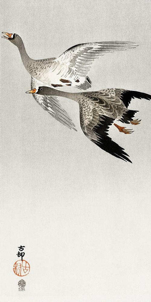 Great geese, flying in the snow