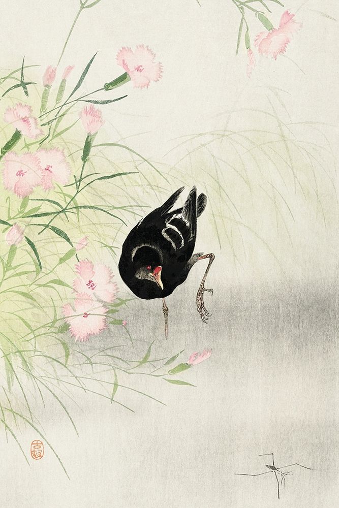 Moorhen at flowering plant