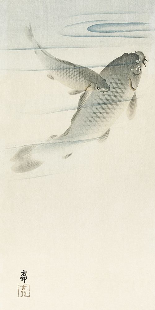 Carp