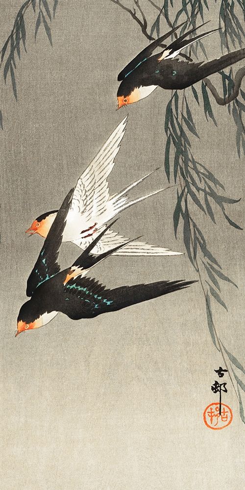 Three red-tailed swallows in dive