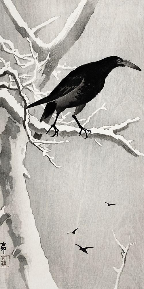 Crow on snowy tree branch
