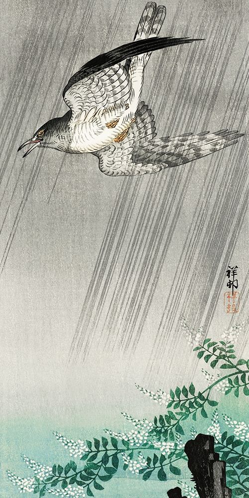 Cuckoo in stormÂ