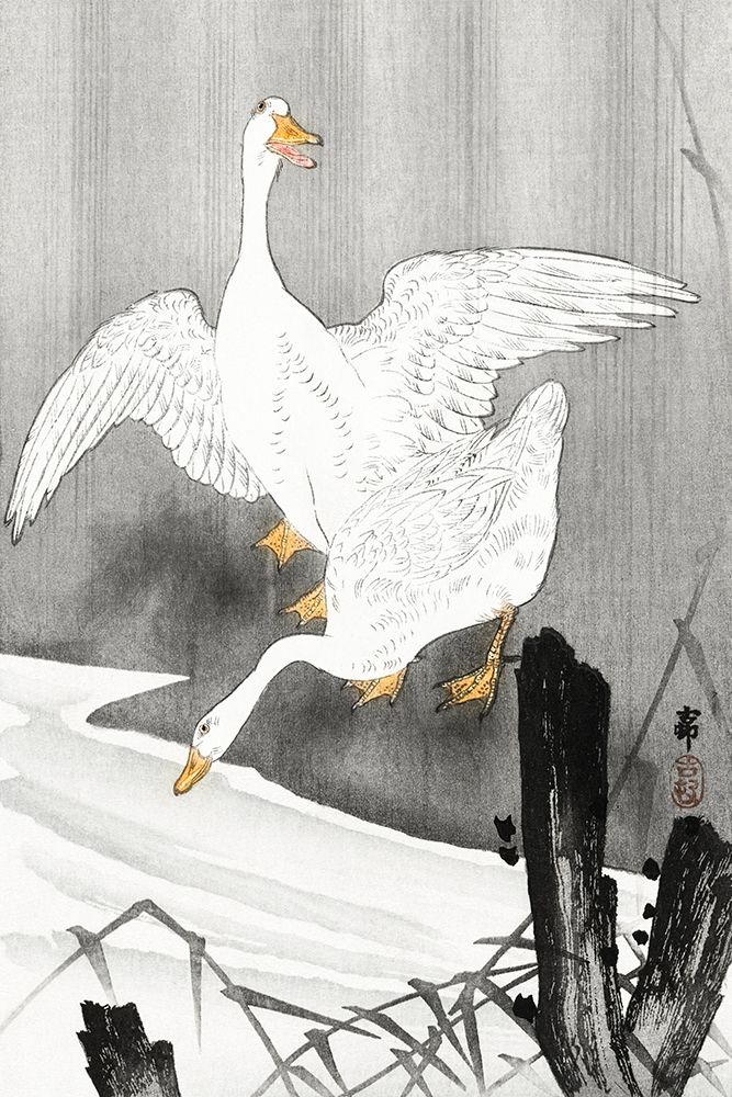Two geese on a river