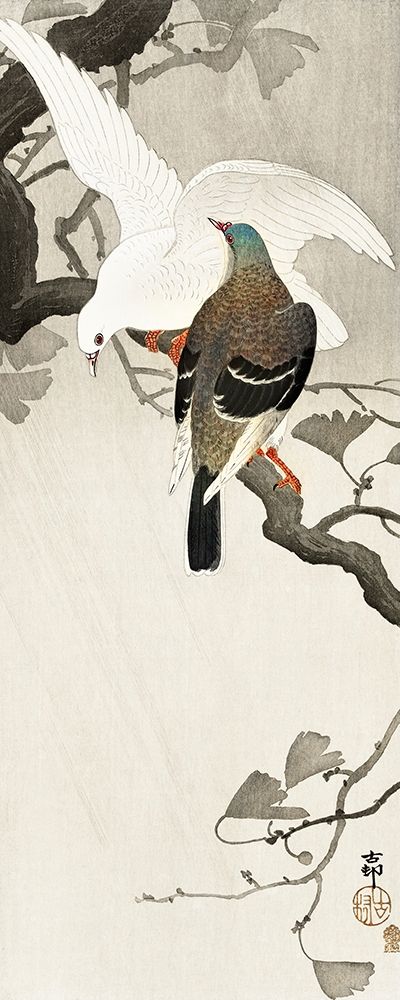 Two pigeons on a branch